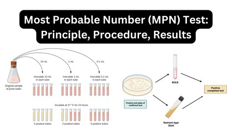 mpn microbiology|Most Probable Number (mpn): Principle, Procedure, and Results.